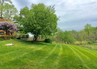 Cottage Outside 3