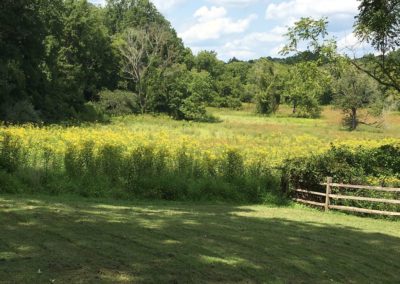 Cottage Pasture